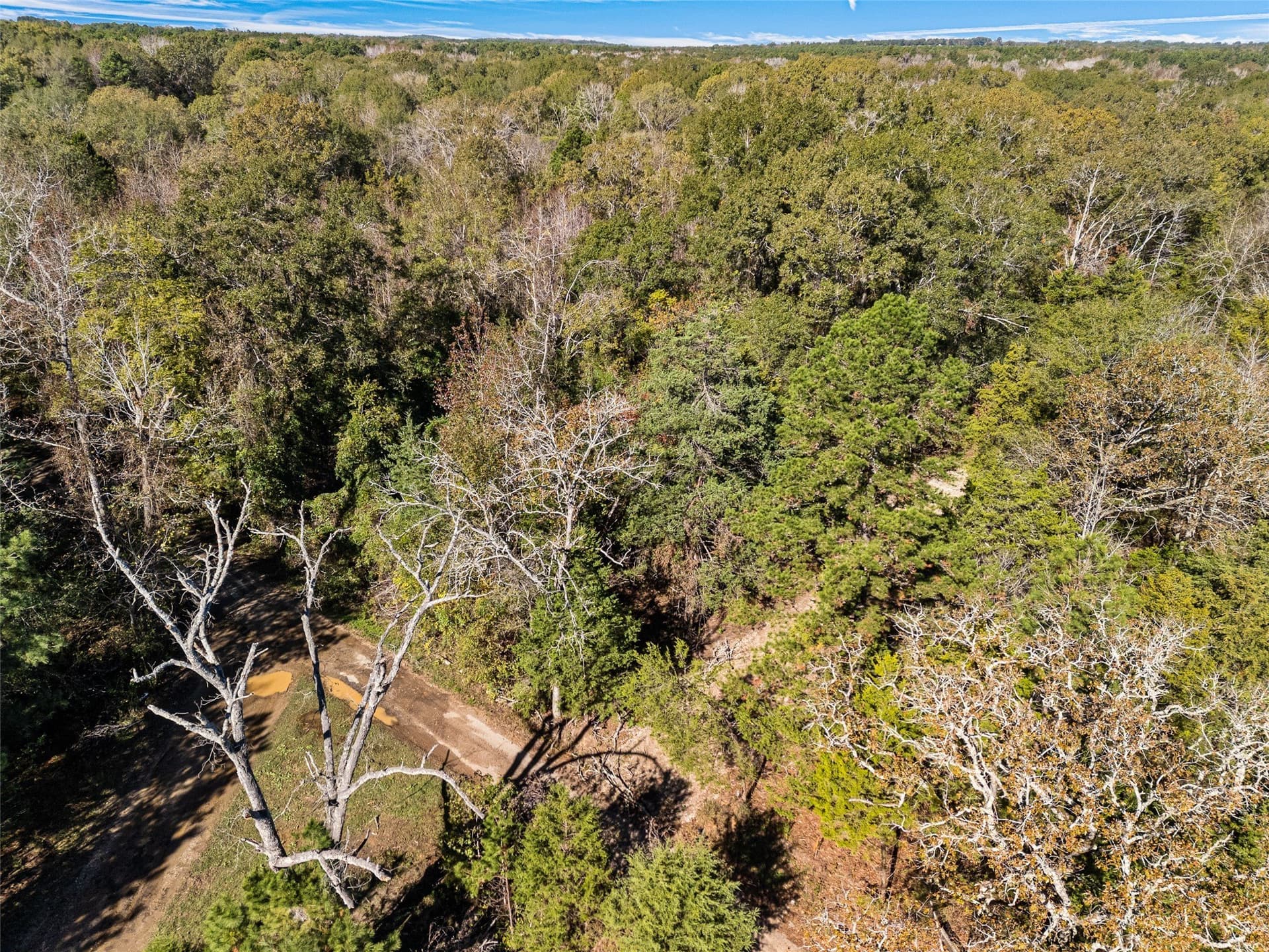 17 acres in Van Zandt County - photo 15