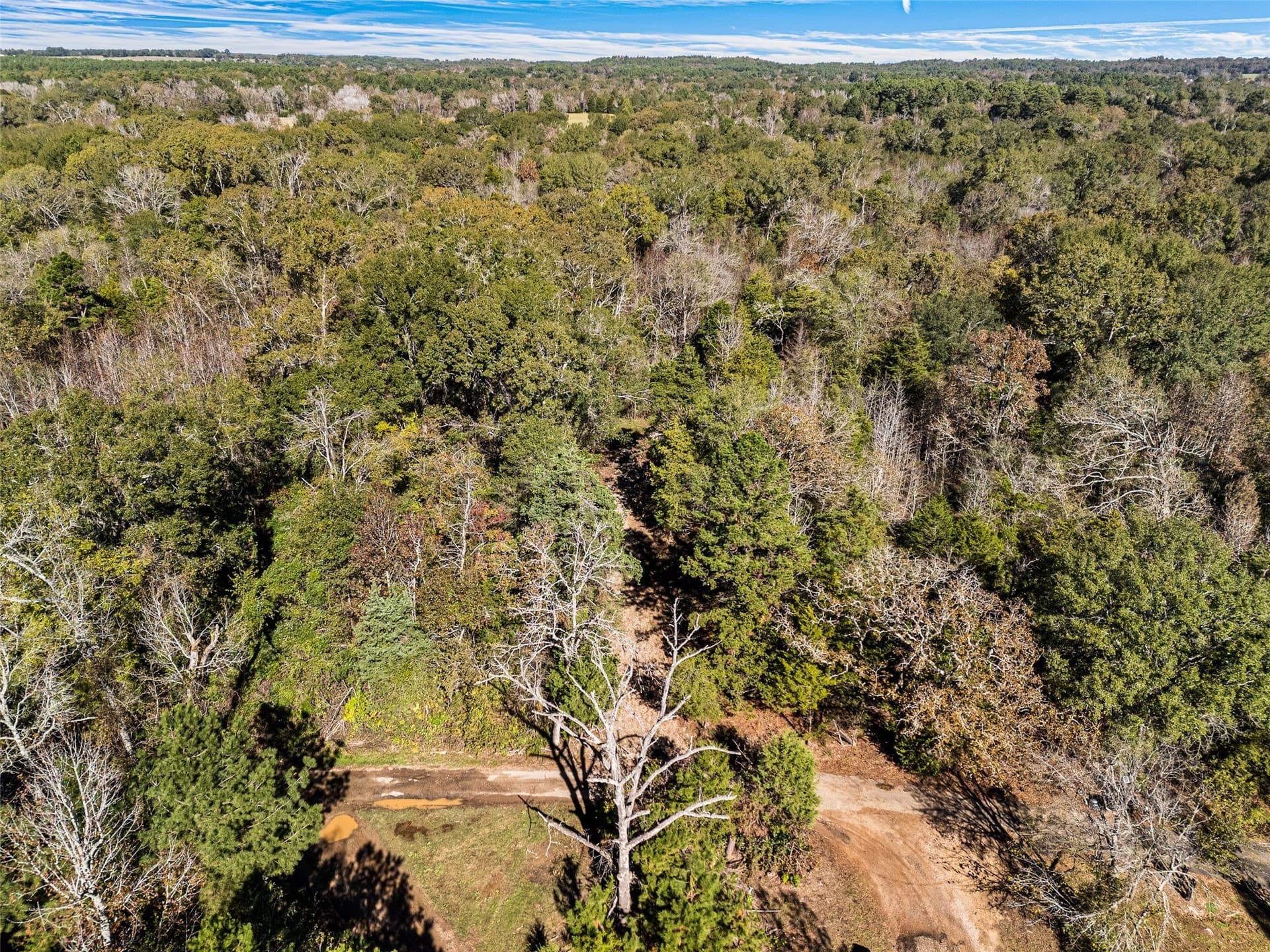 17 acres in Van Zandt County - photo 13