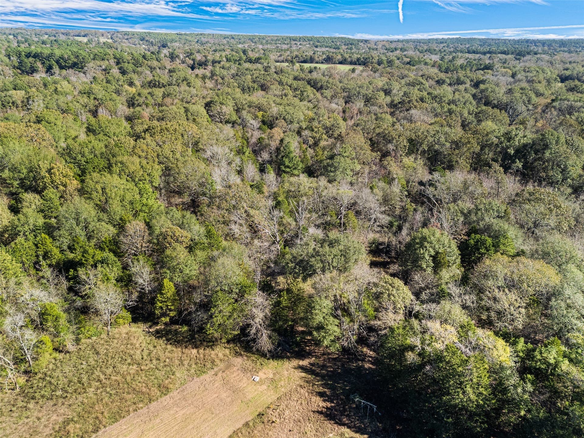 17 acres in Van Zandt County - photo 12