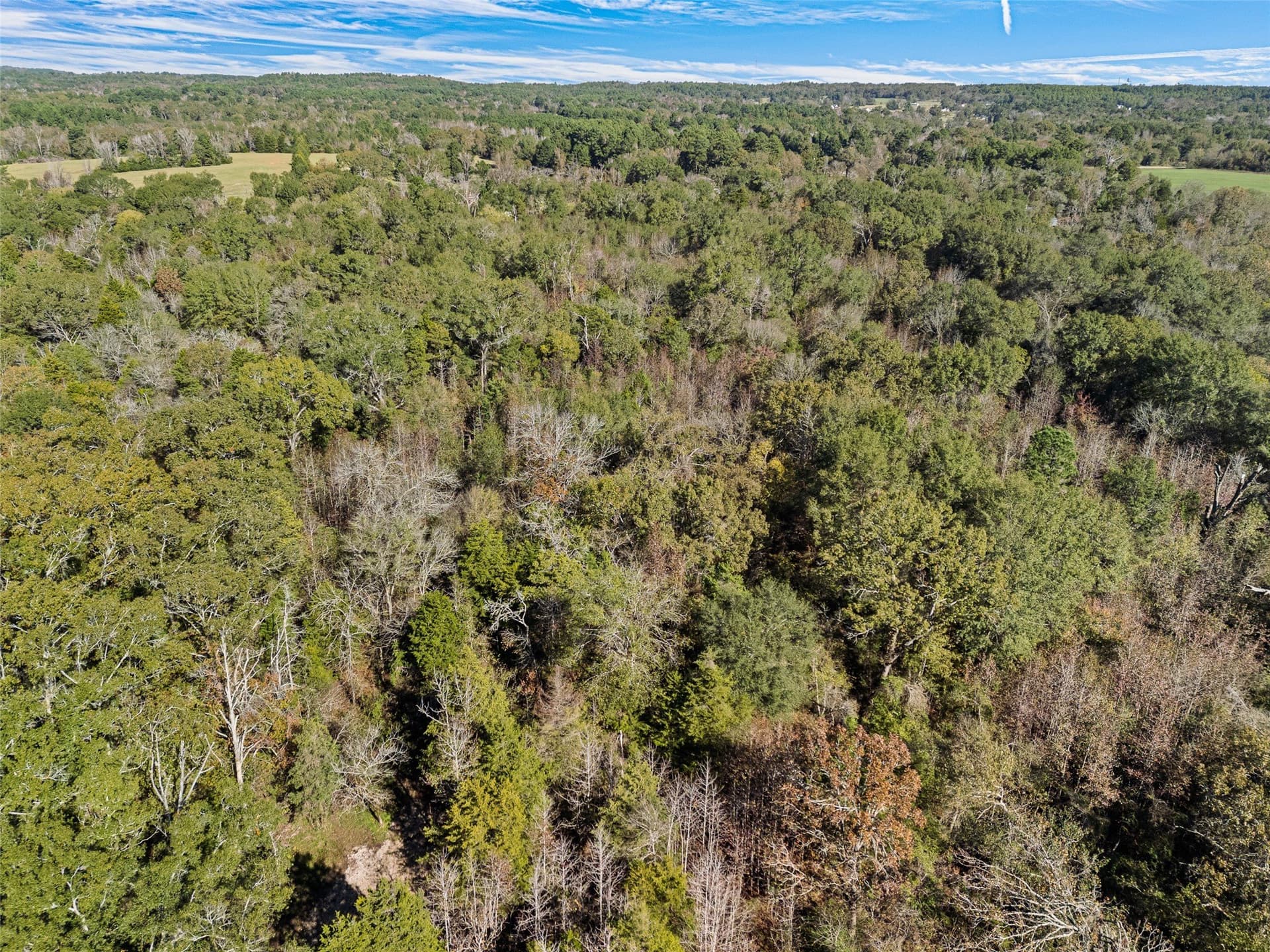 17 acres in Van Zandt County - photo 9