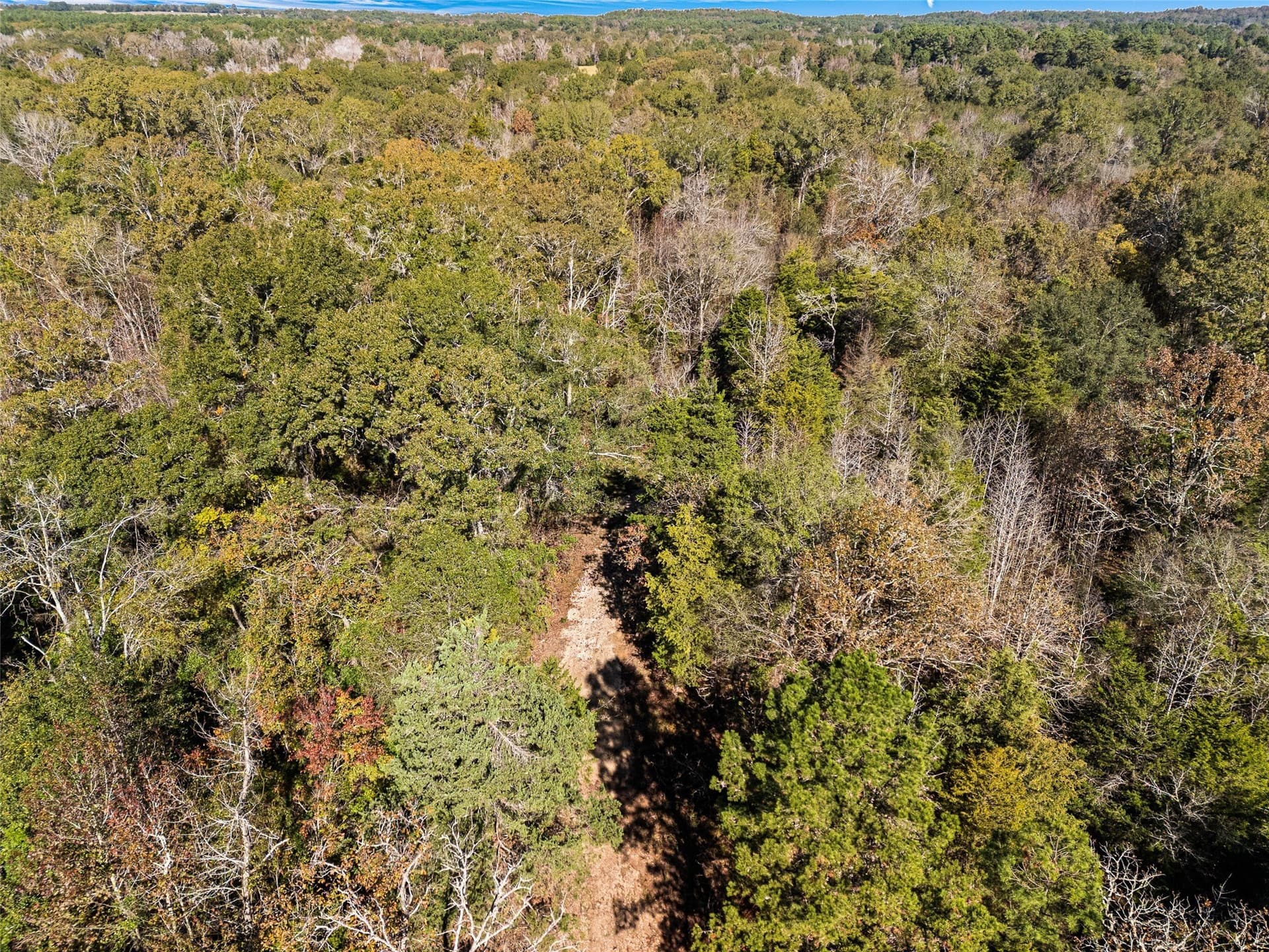 17 acres in Van Zandt County - photo 14