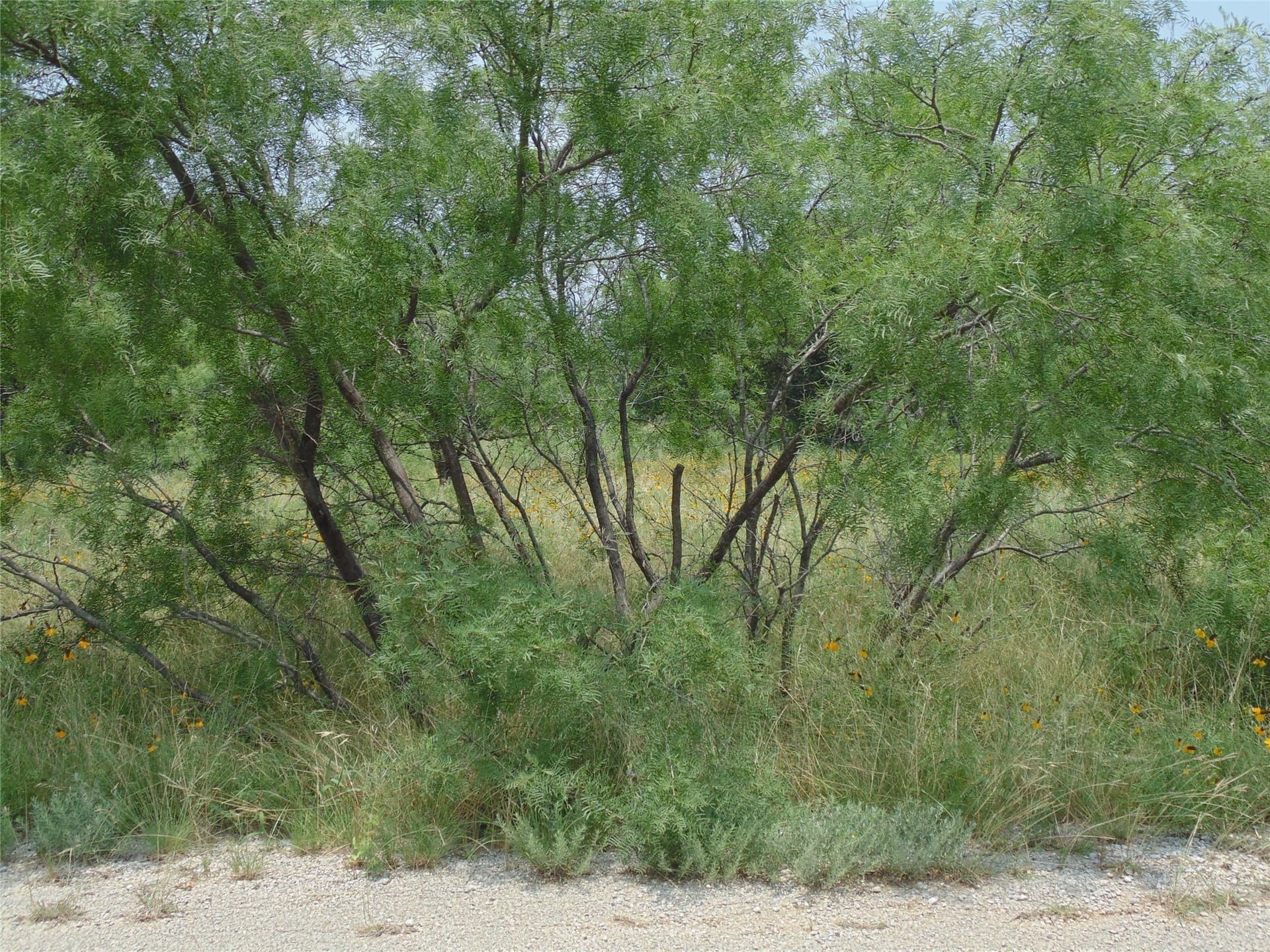 0.57 acres in Brown County - photo 3