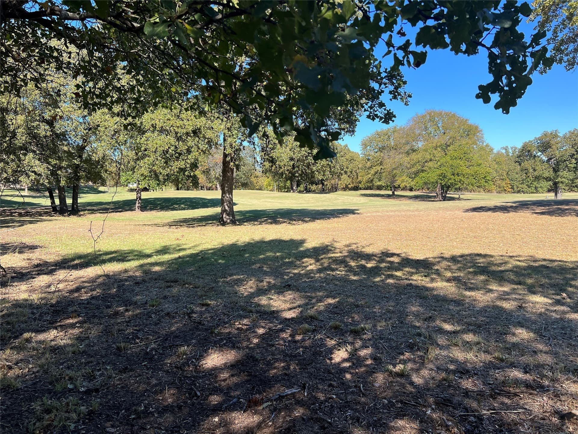 0.46 acres in Montague County - photo 3
