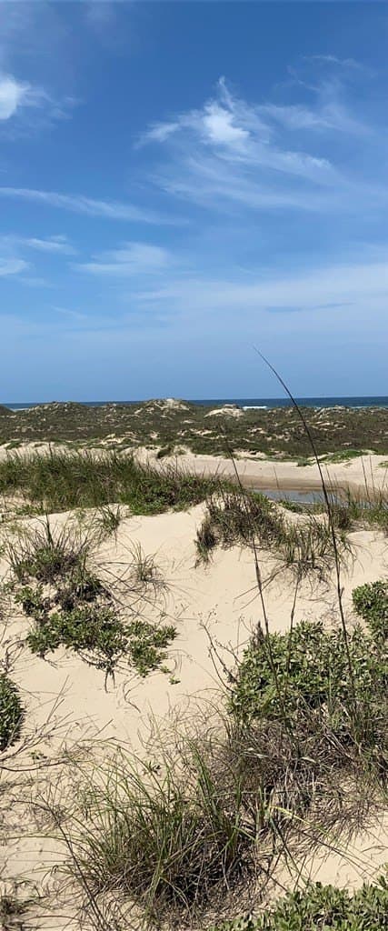 0 acres in Cameron County gallery image 3