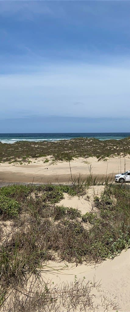 0 acres in Cameron County featured view