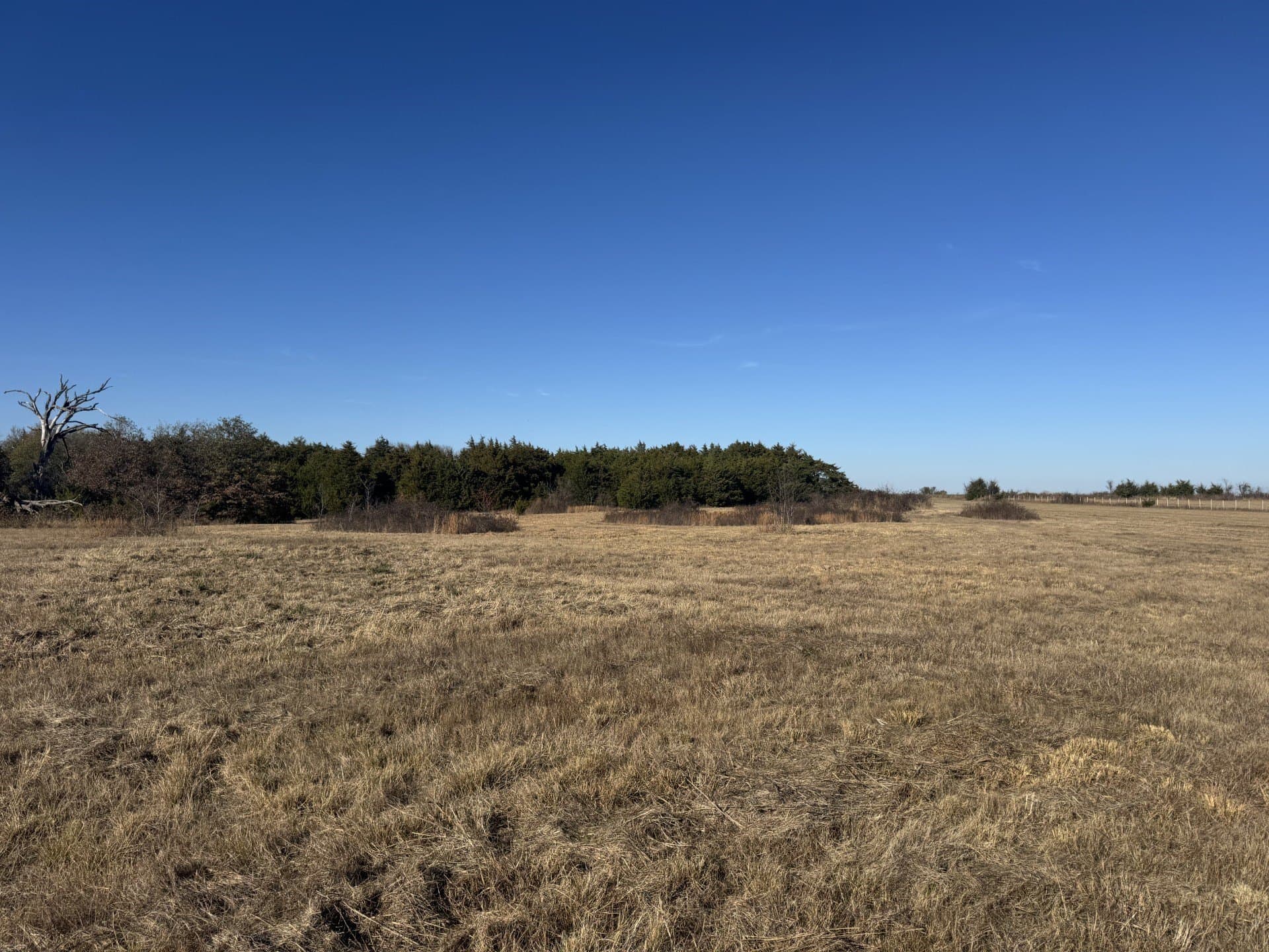 11 acres in Lamar County - photo 3
