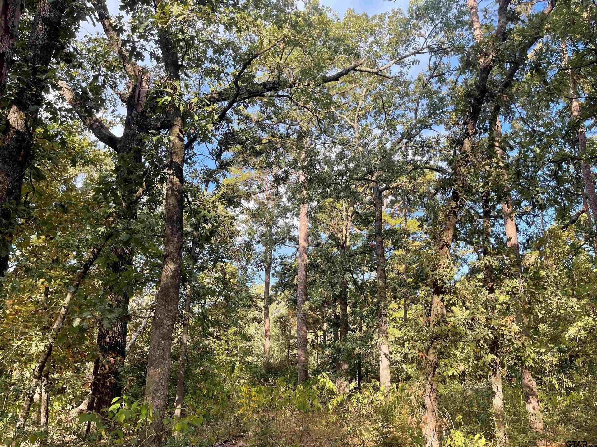 0.22 acres in Wood County gallery image 4