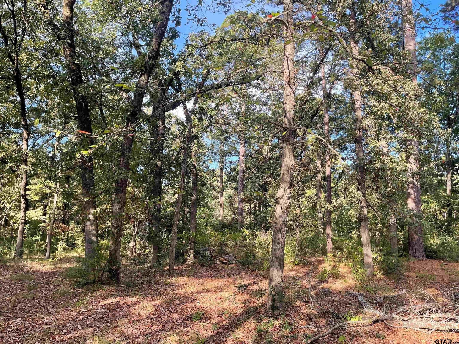 0.22 acres in Wood County gallery image 3