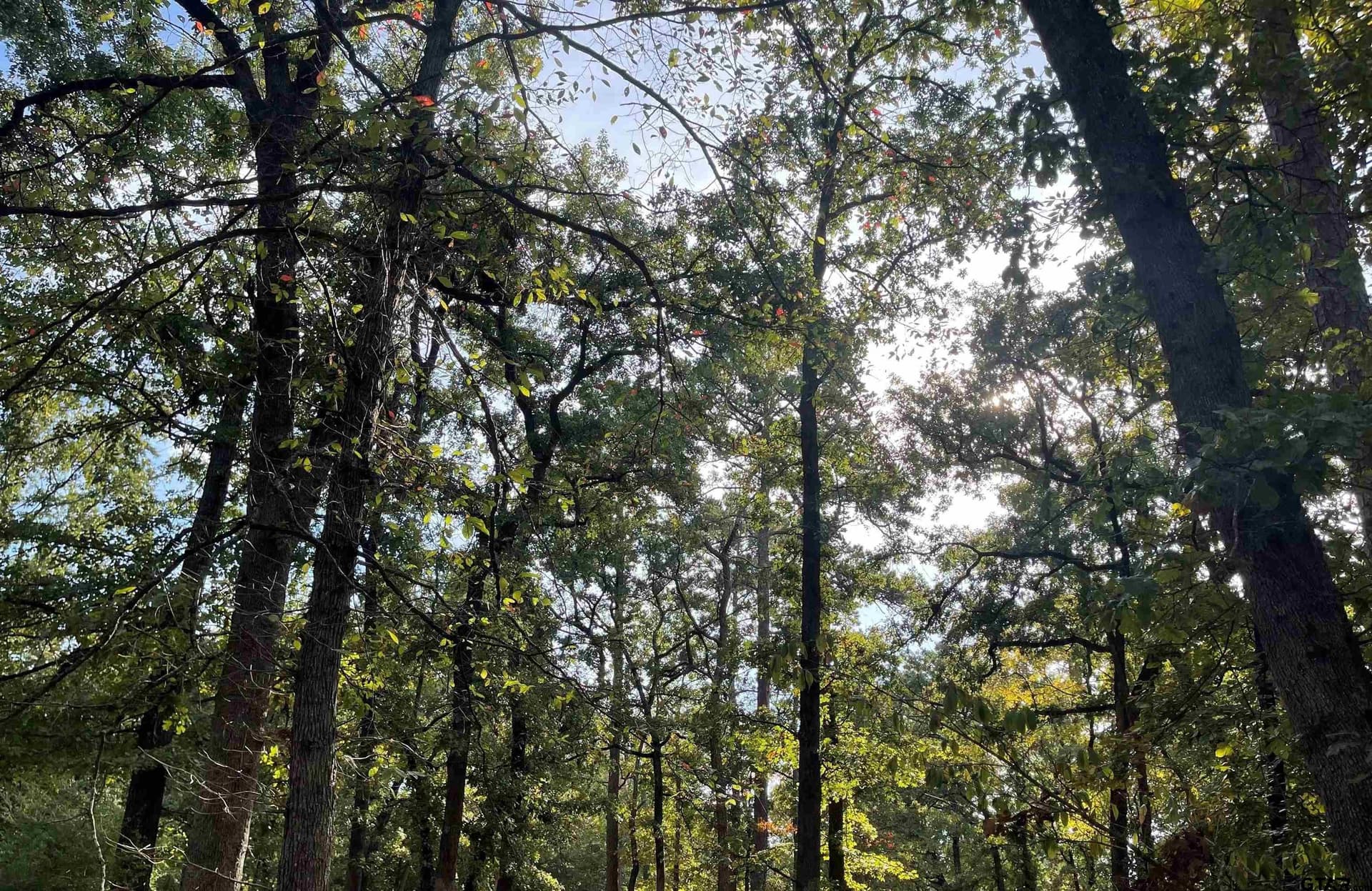 0.22 acres in Wood County featured view