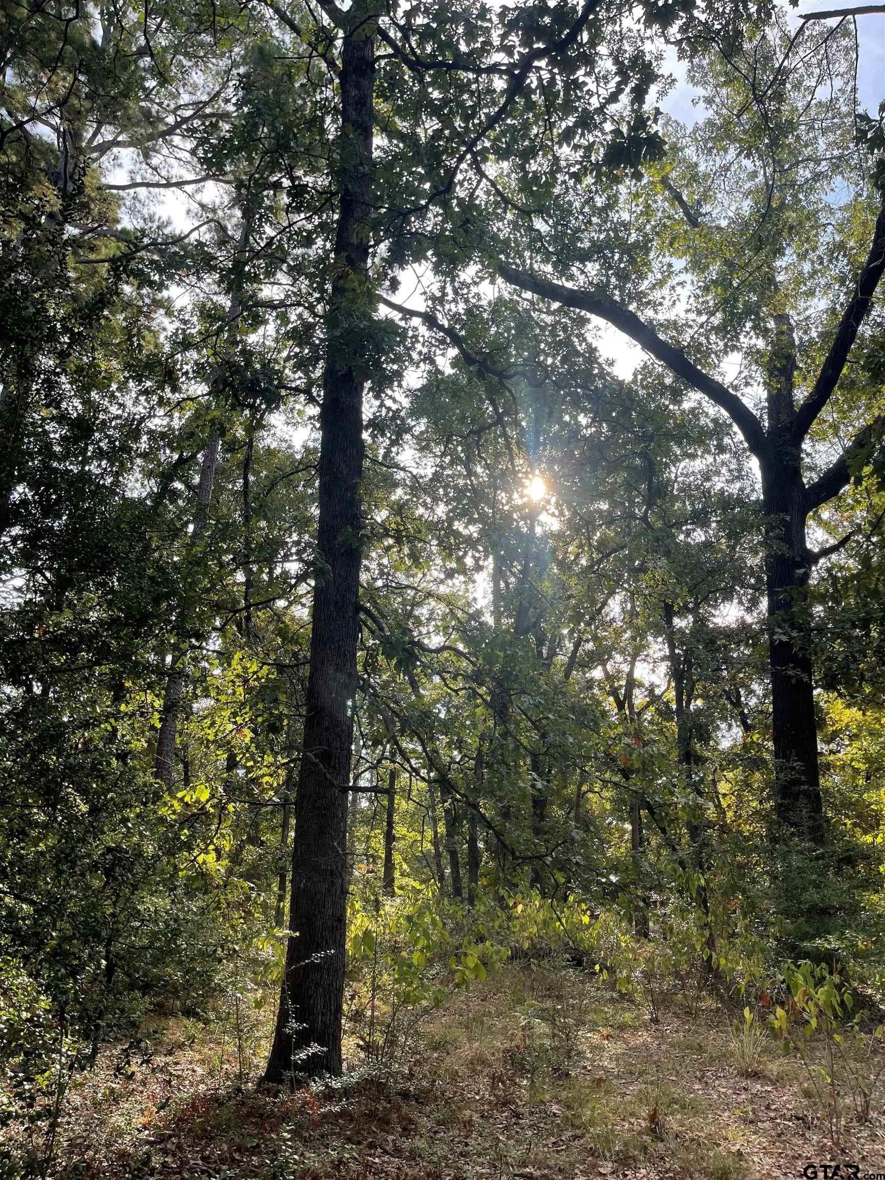 0.22 acres in Wood County