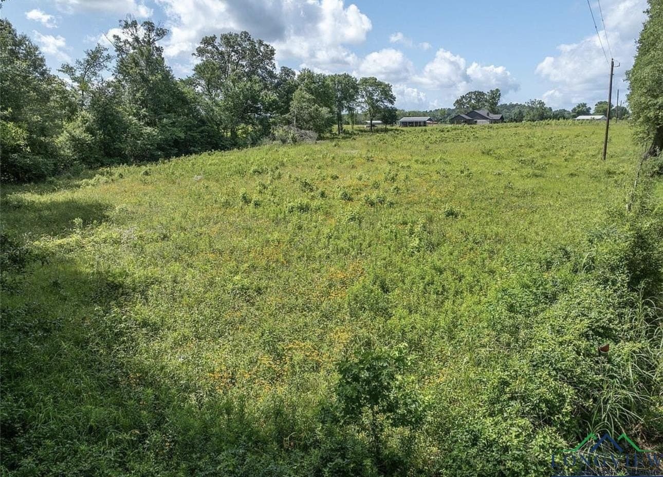 15.21 acres in Texas County gallery image 4