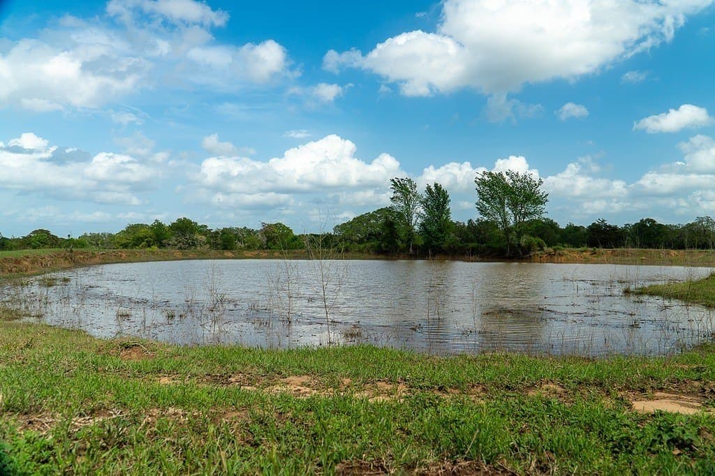 145.9 acres in Fayette County - photo 9