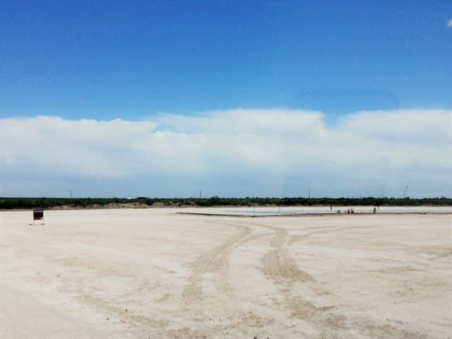 5 acres in Ward County gallery image 4