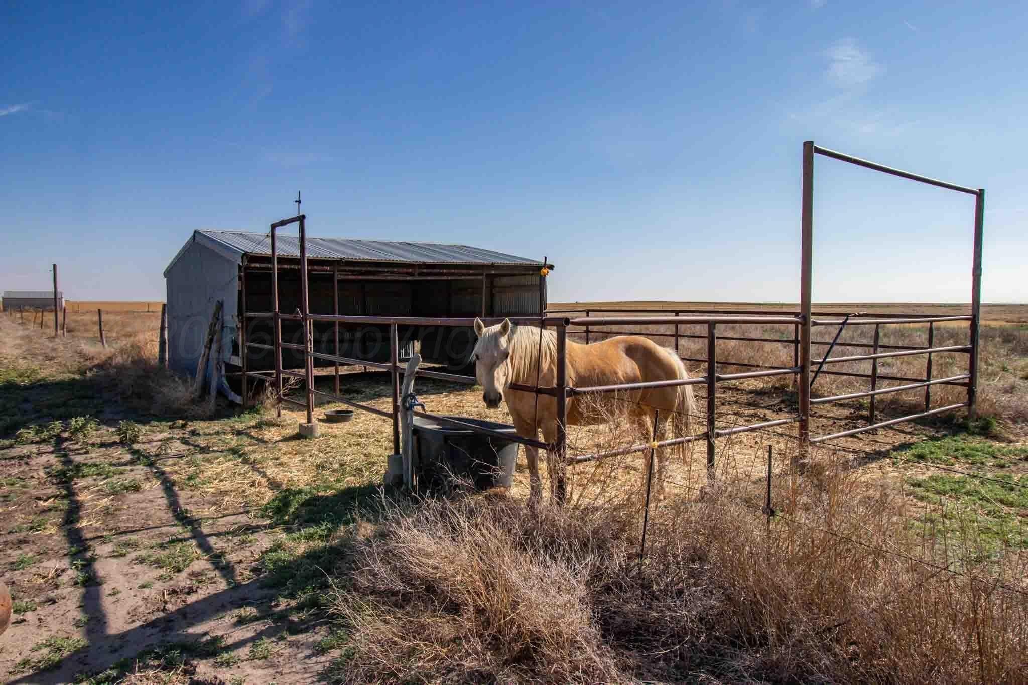 3,142.65 acres in Sherman County - photo 67