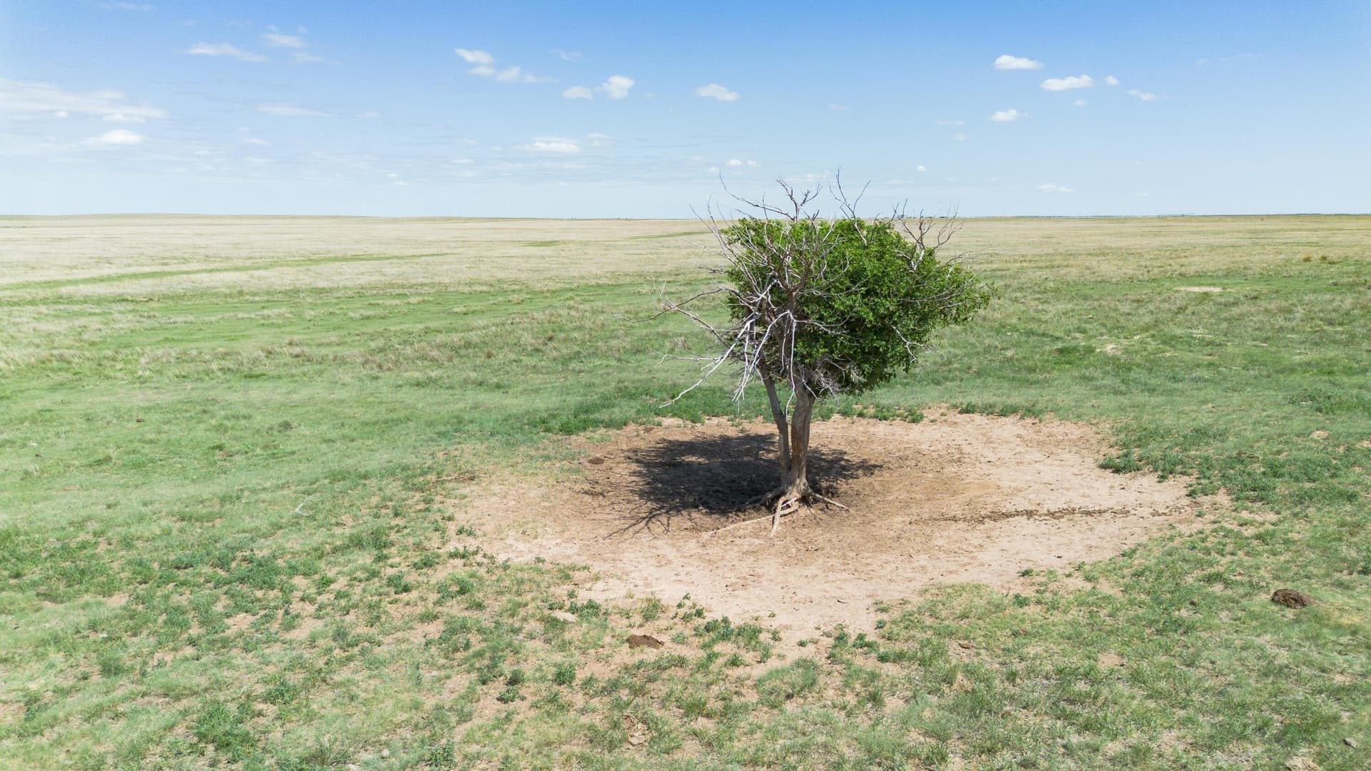 3,142.65 acres in Sherman County - photo 92