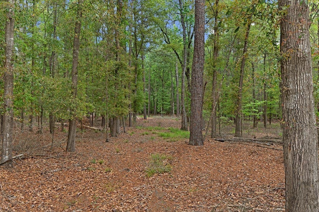 6.73 acres in Texas County gallery image 4