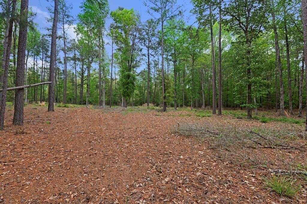 6.73 acres in Texas County gallery image 3