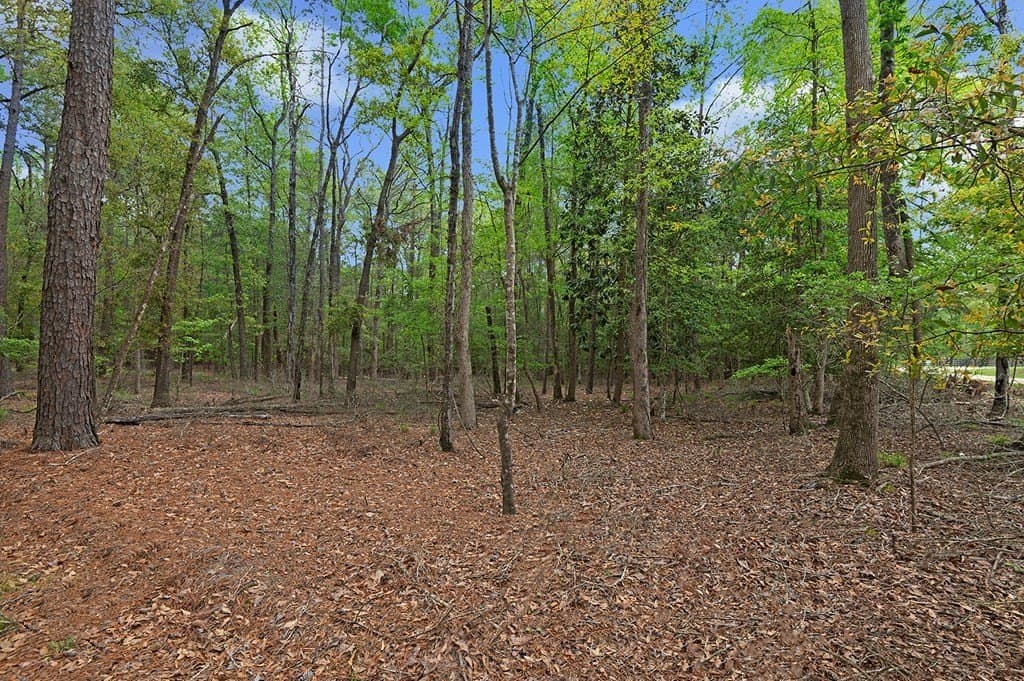 6.73 acres in Texas County featured view