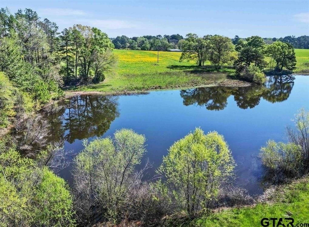 33 acres in Anderson County gallery image 3