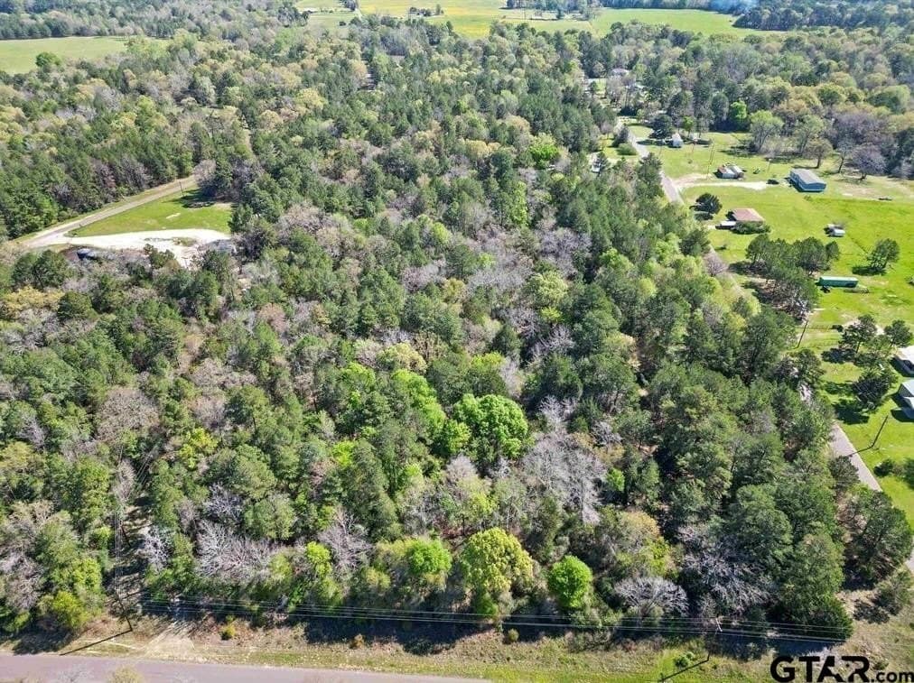 33 acres in Anderson County gallery image 4