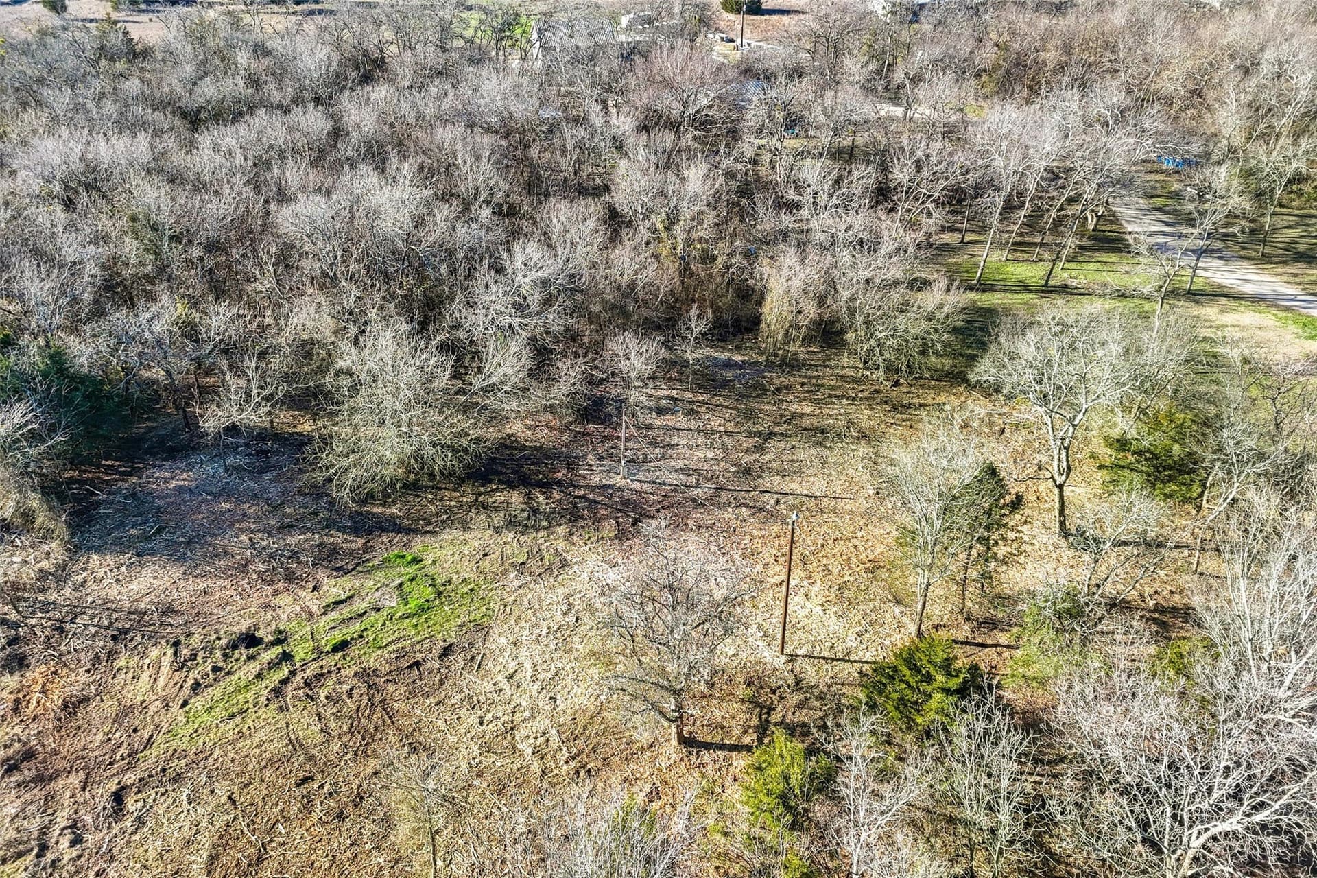 5.01 acres in Collin County gallery image 3