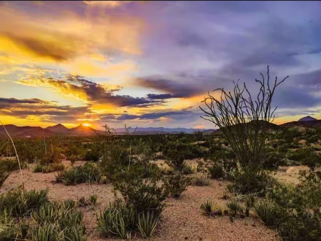 10 acres in Brewster County gallery image 4