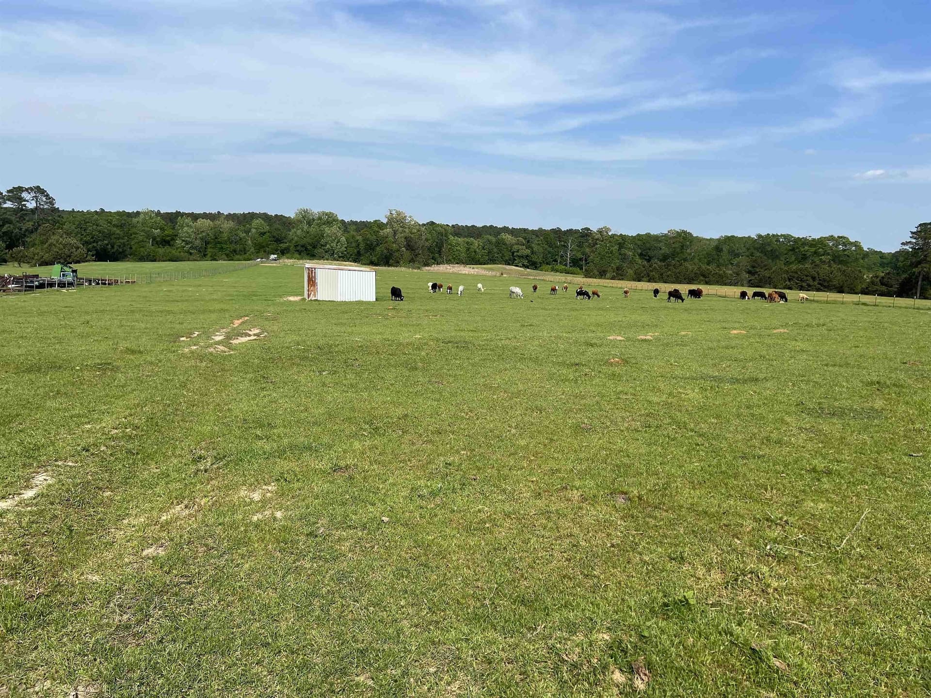 11.99 acres in Panola County gallery image 4