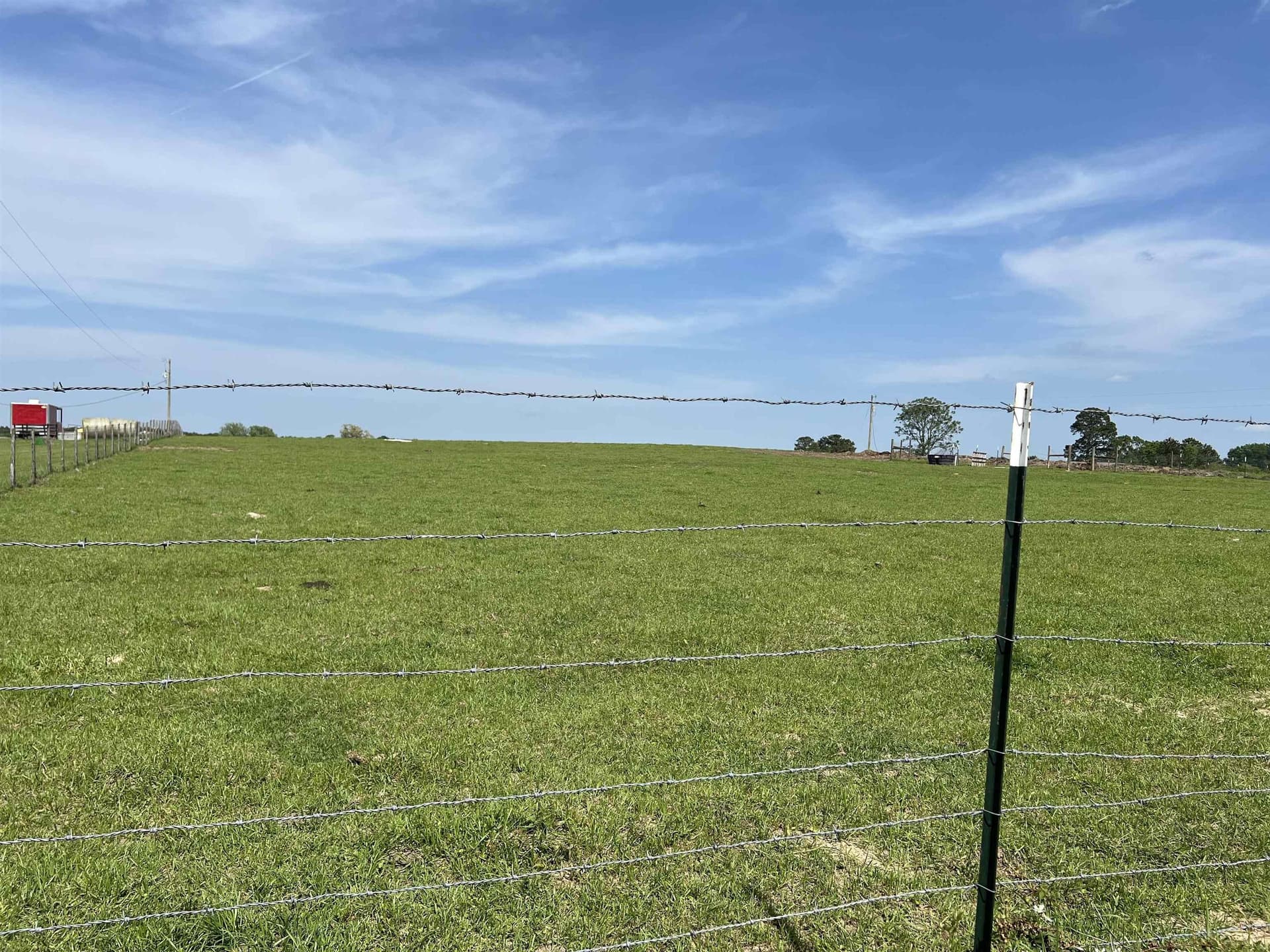 11.99 acres in Panola County gallery image 2