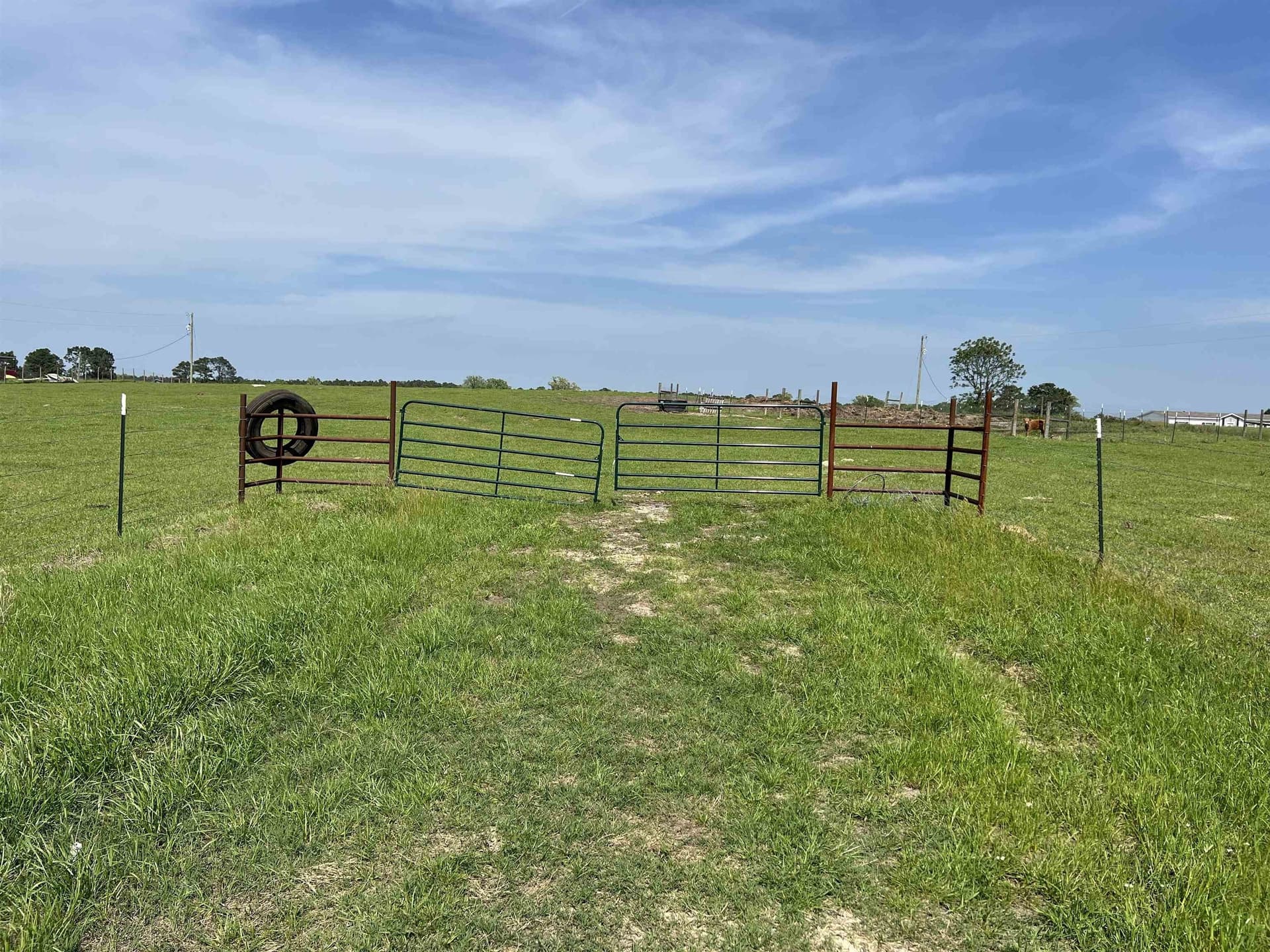 11.99 acres in Panola County