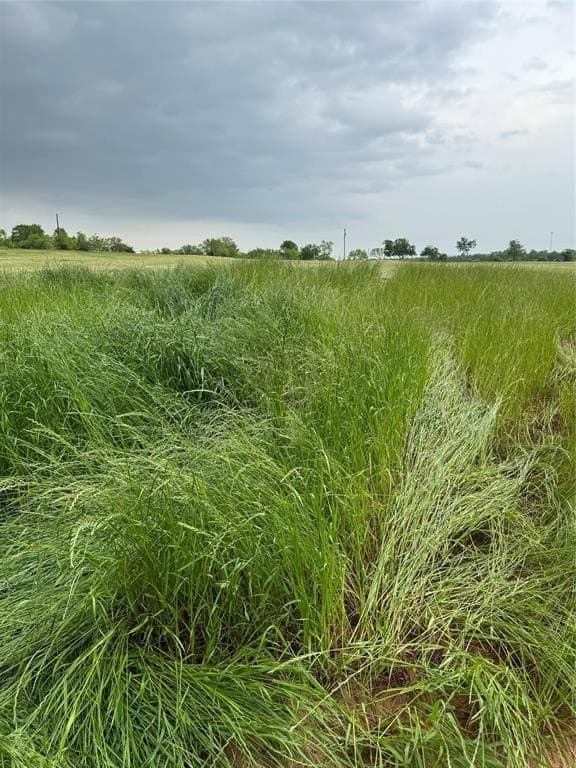 2.62 acres in Wise County gallery image 3