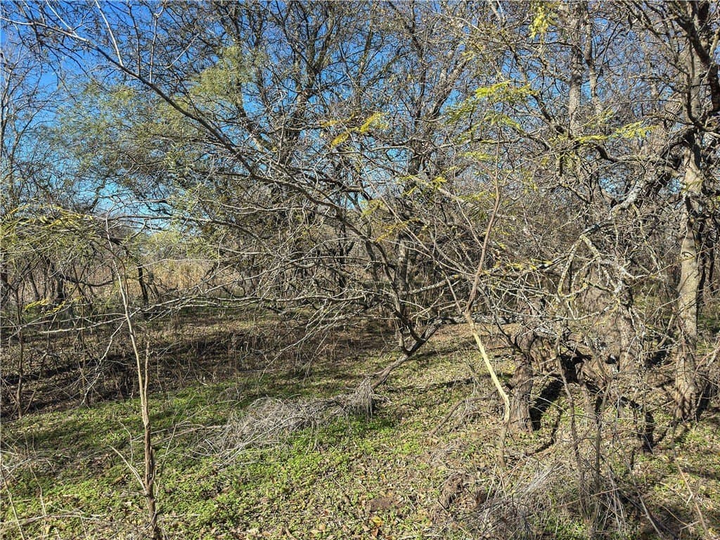 20 acres in McLennan County - photo 41