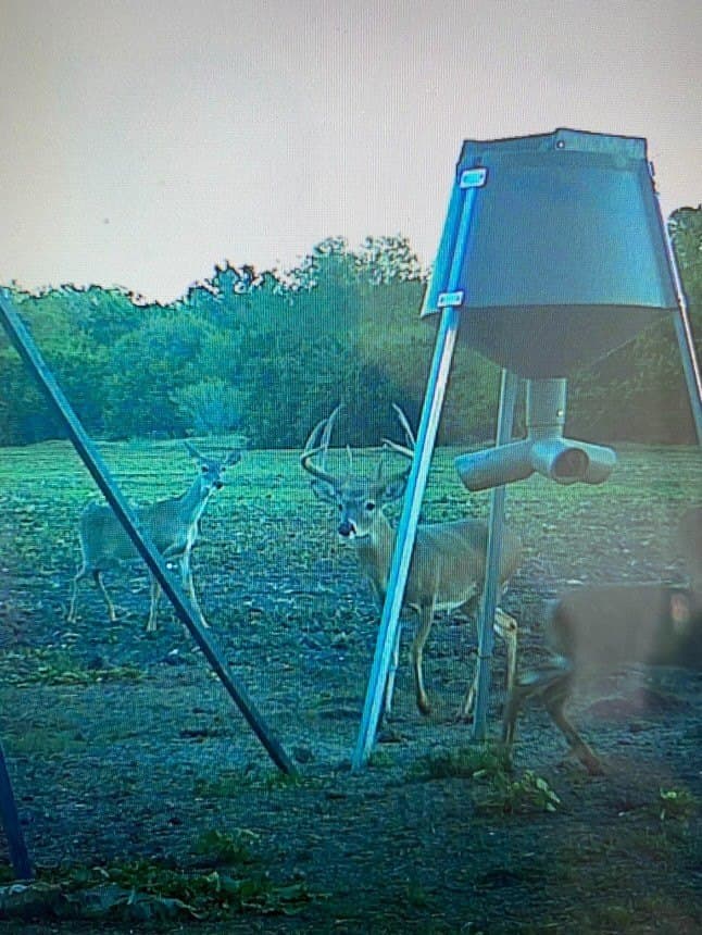 20 acres in McLennan County - photo 44