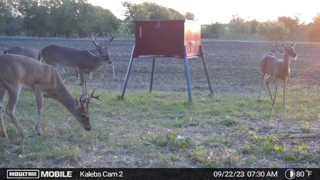 20 acres in McLennan County - photo 47