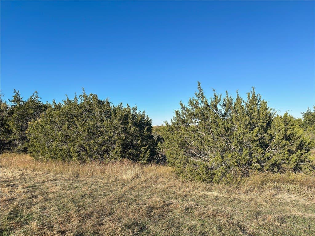 20 acres in McLennan County - photo 23
