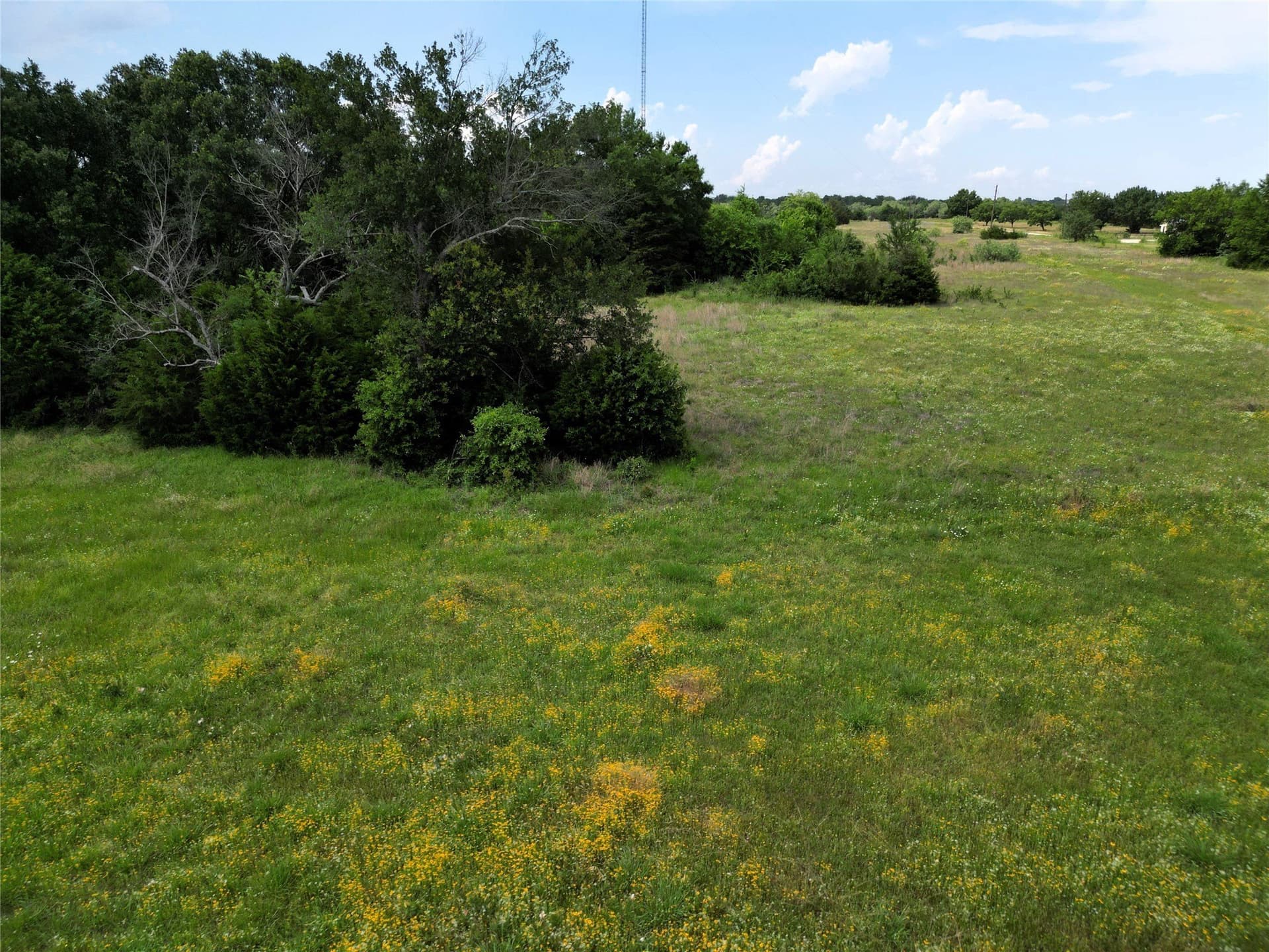 30 acres in Hunt County - photo 15