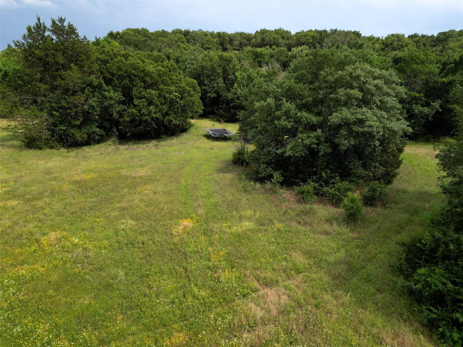 30 acres in Hunt County - photo 11