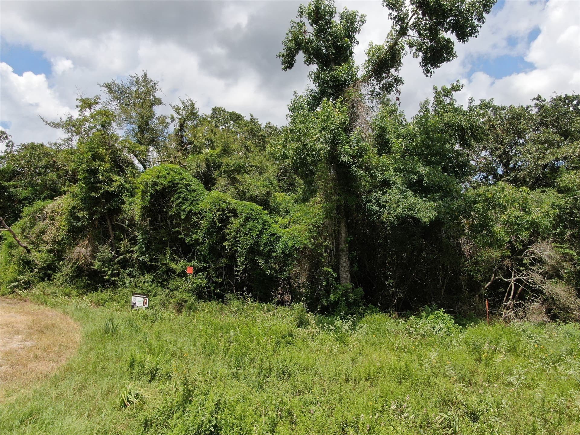 35.35 acres in Freestone County - photo 8