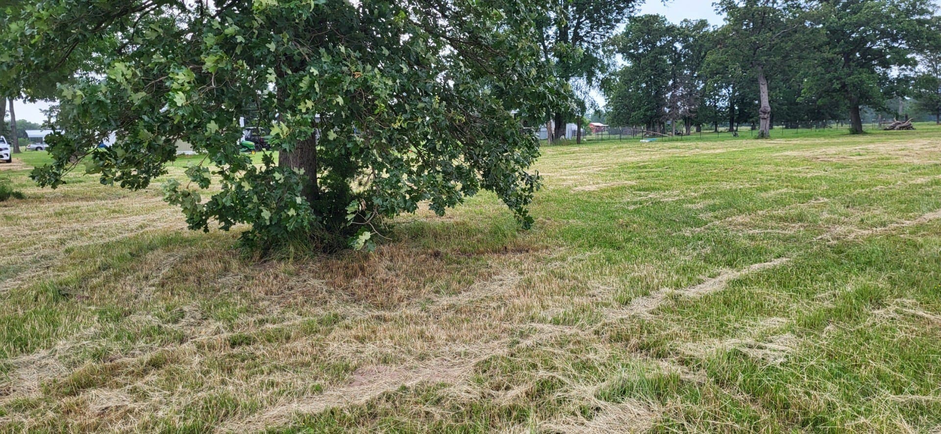 1.43 acres in Wood County - photo 4