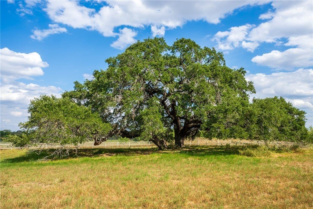 0 acres in Atascosa County - photo 34
