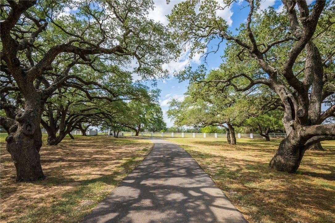 0 acres in Atascosa County - photo 31