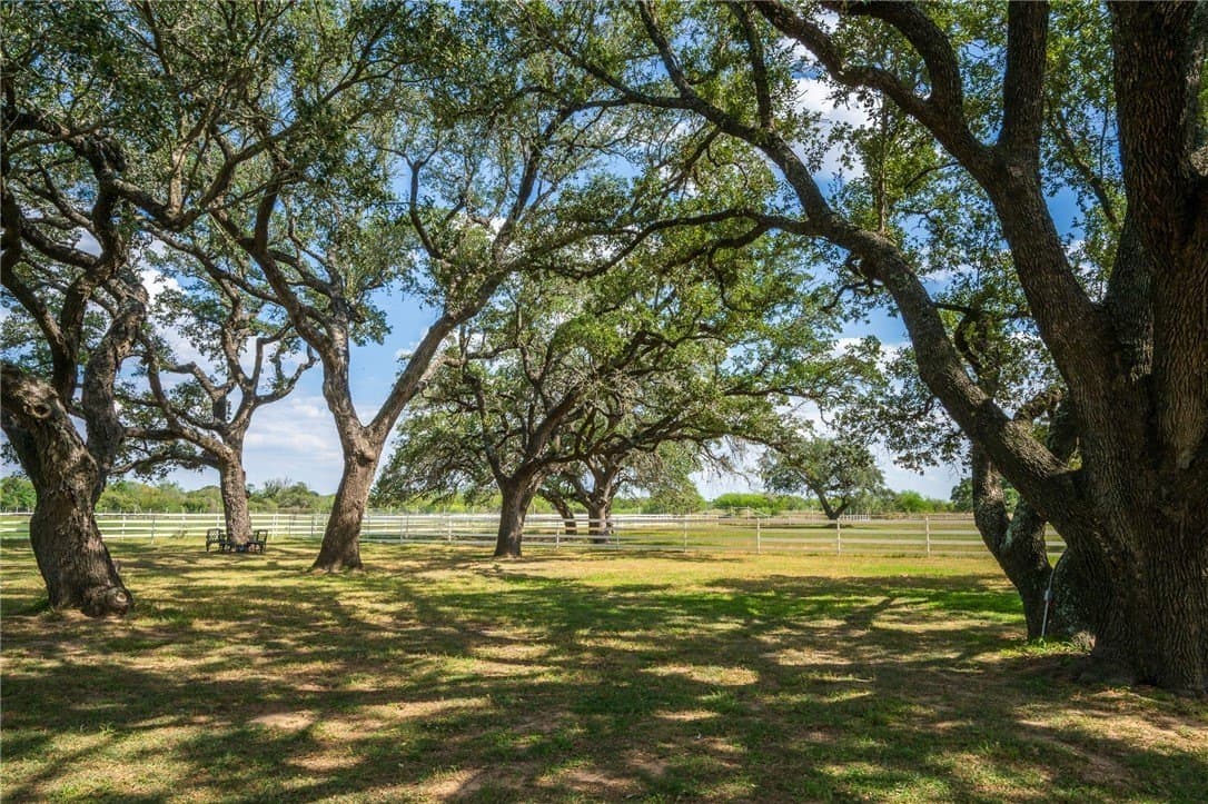 0 acres in Atascosa County - photo 23