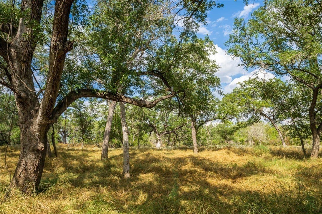 0 acres in Atascosa County - photo 37