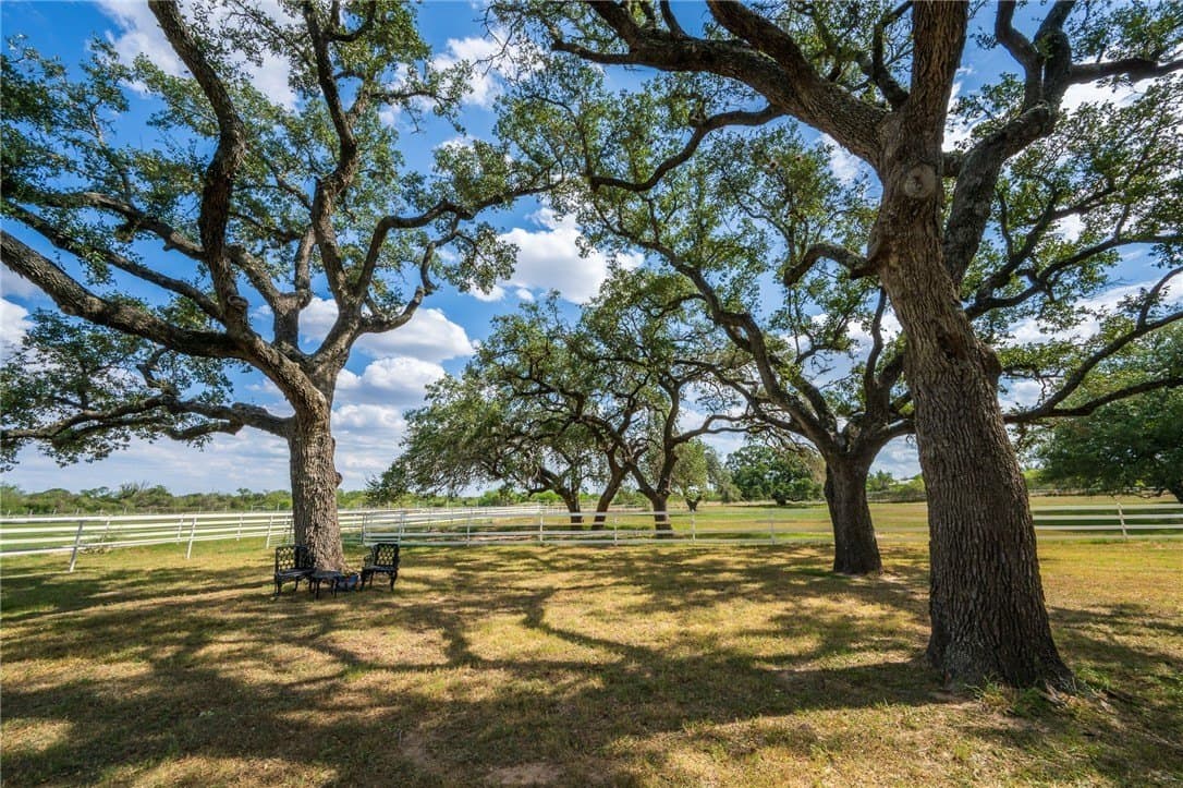 0 acres in Atascosa County - photo 24
