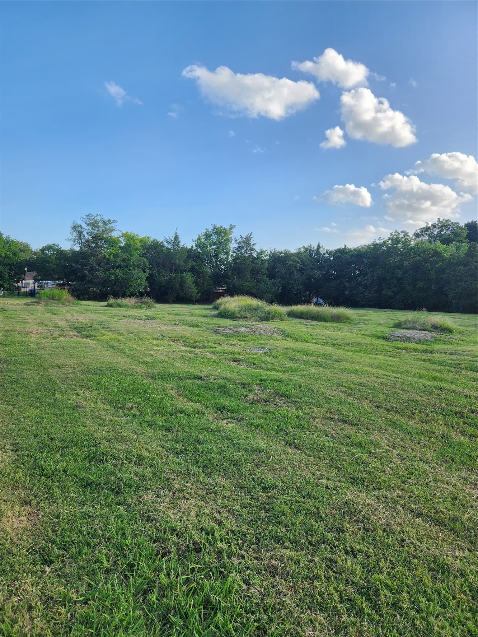 2.68 acres in Dallas County - photo 2