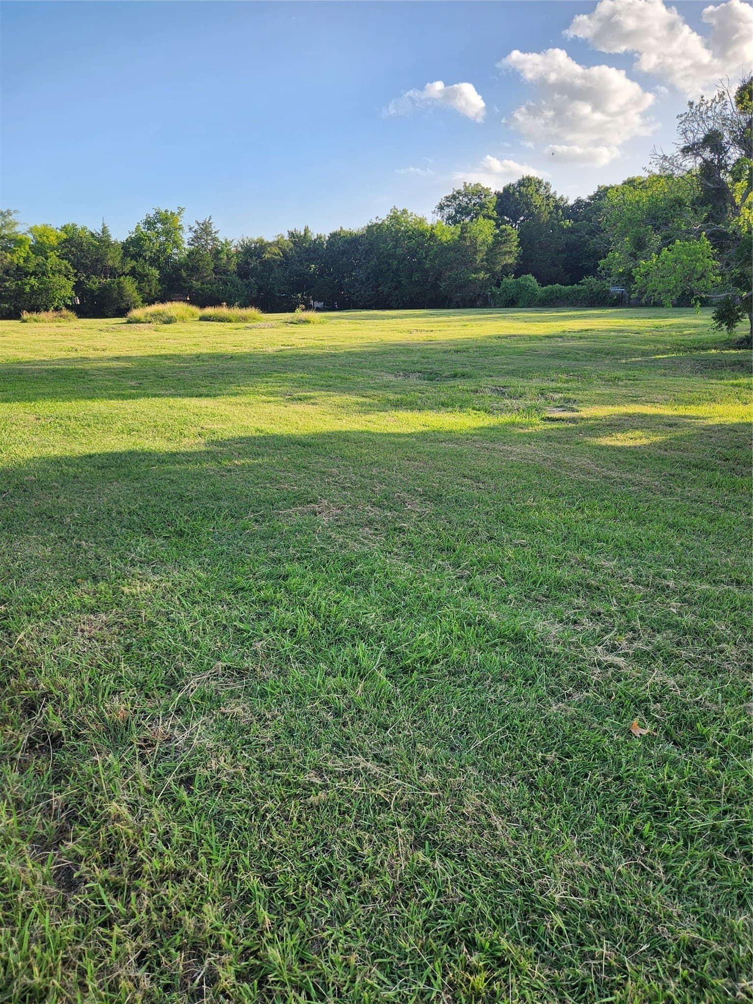 2.68 acres in Dallas County - photo 4