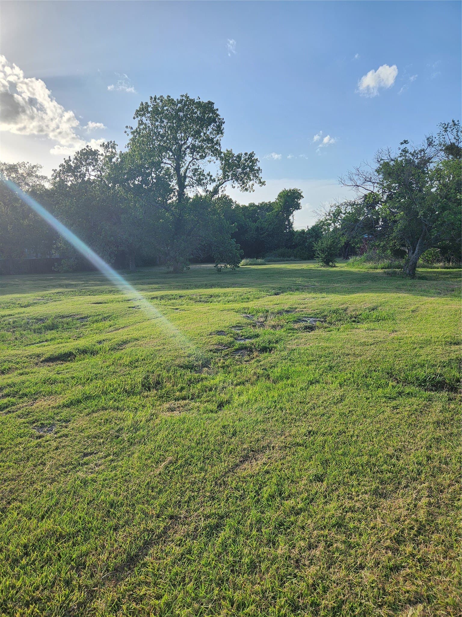 2.68 acres in Dallas County - photo 3