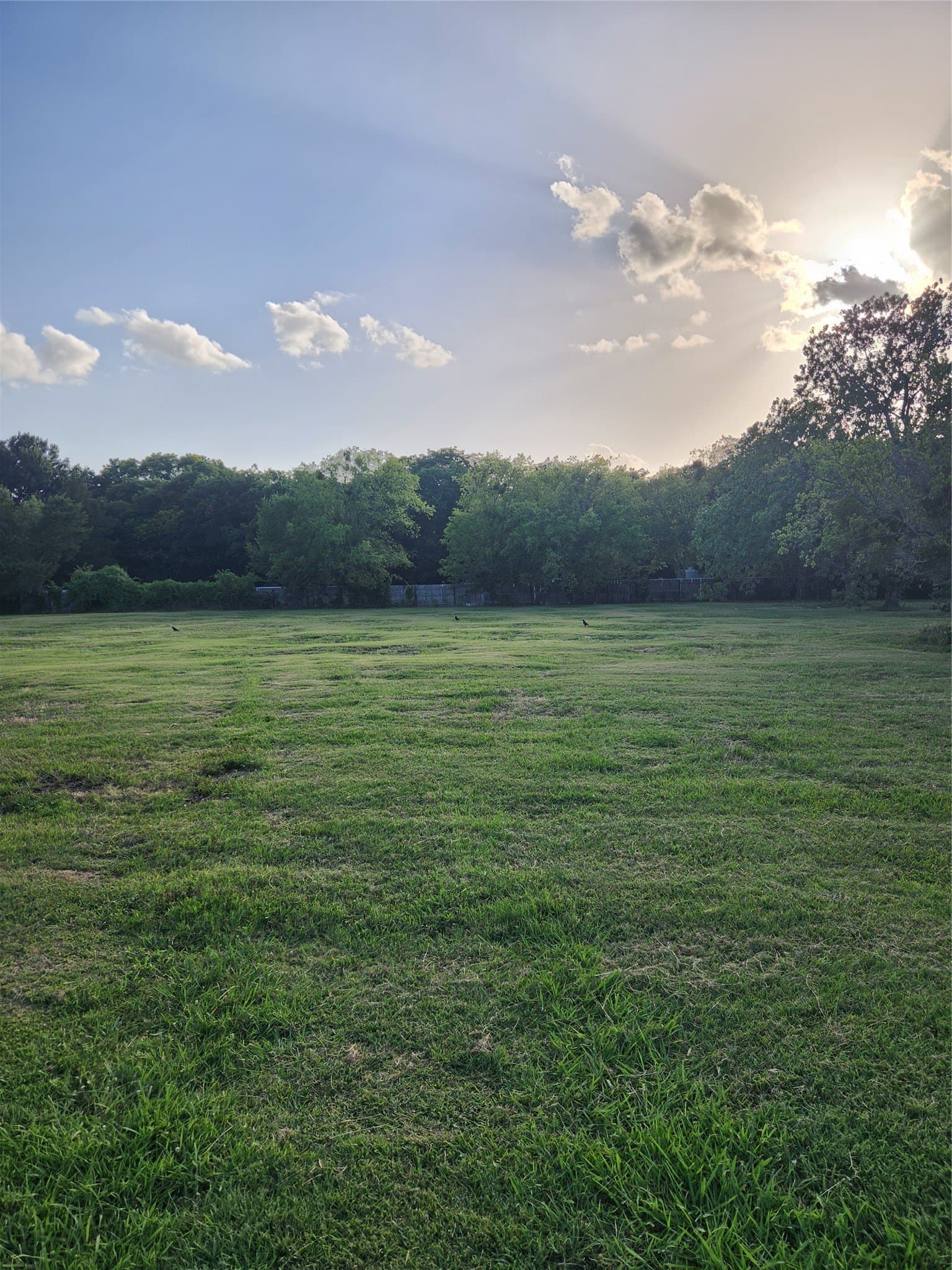 2.68 acres in Dallas County