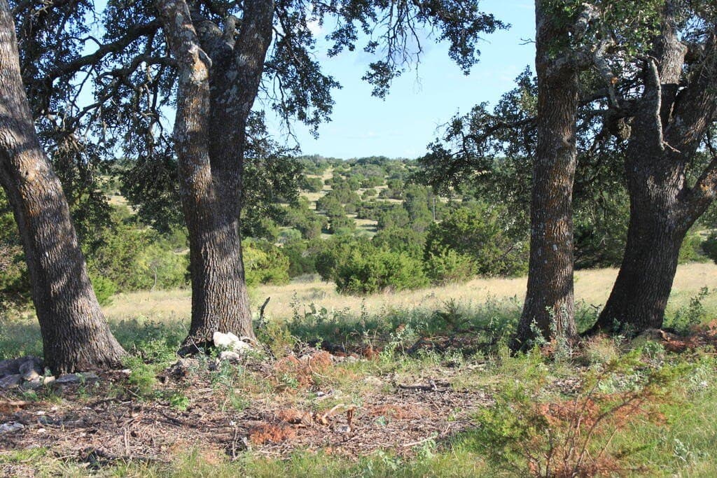 100 acres in Sutton County - photo 7