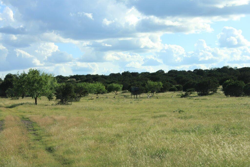 100 acres in Sutton County - photo 3