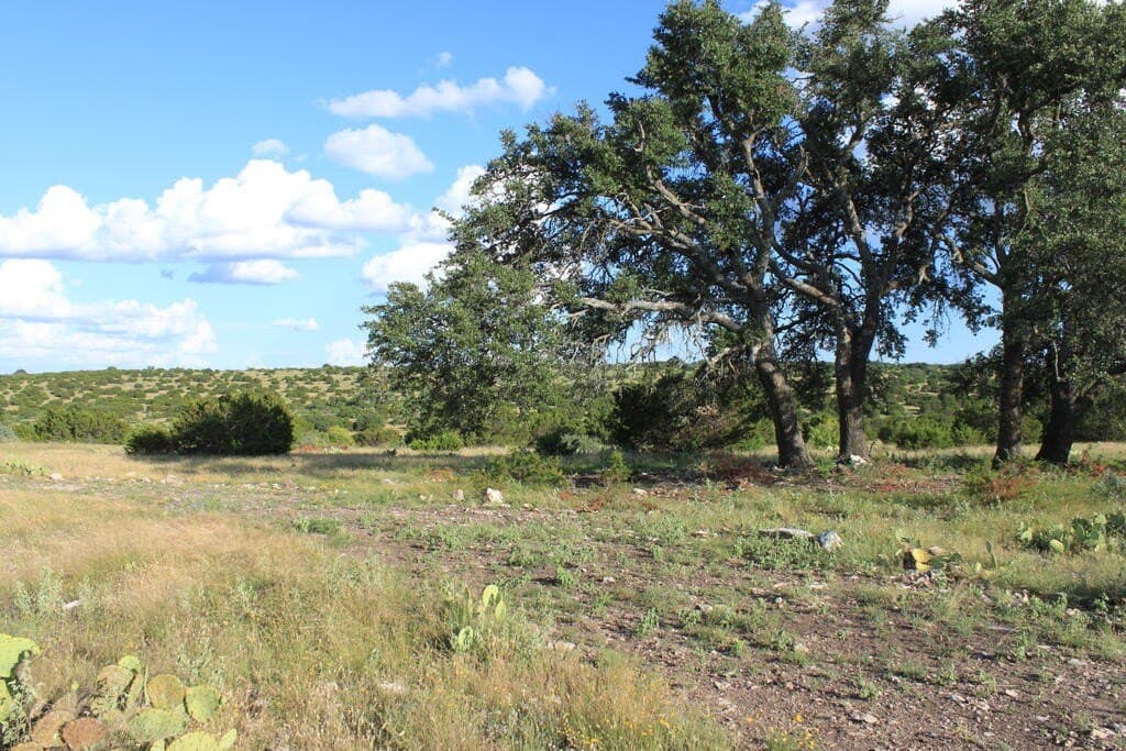 100 acres in Sutton County - photo 2